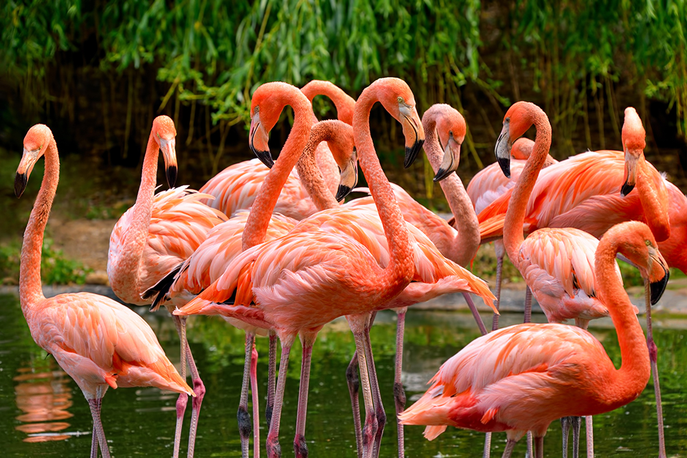 Everglades National Park