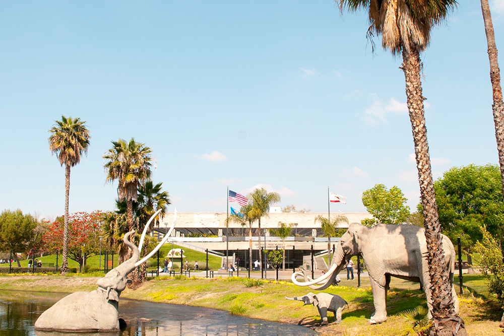 La Brea tar pits