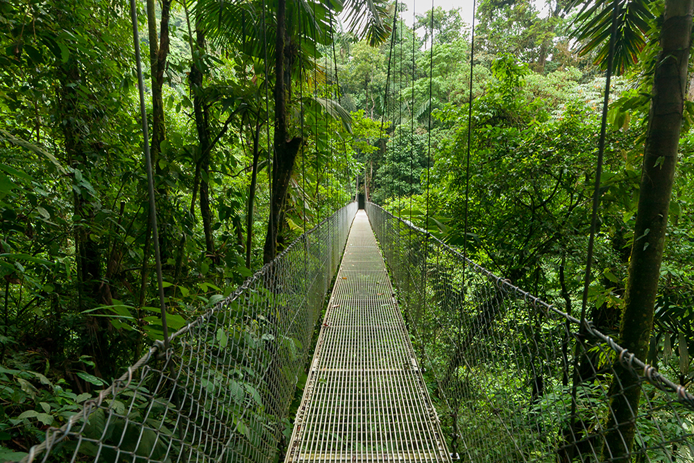 Monteverde Cloud Forest