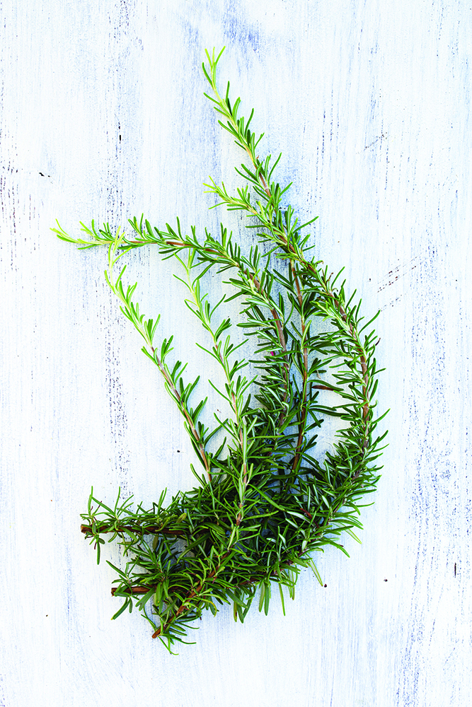 Fresh rosemary