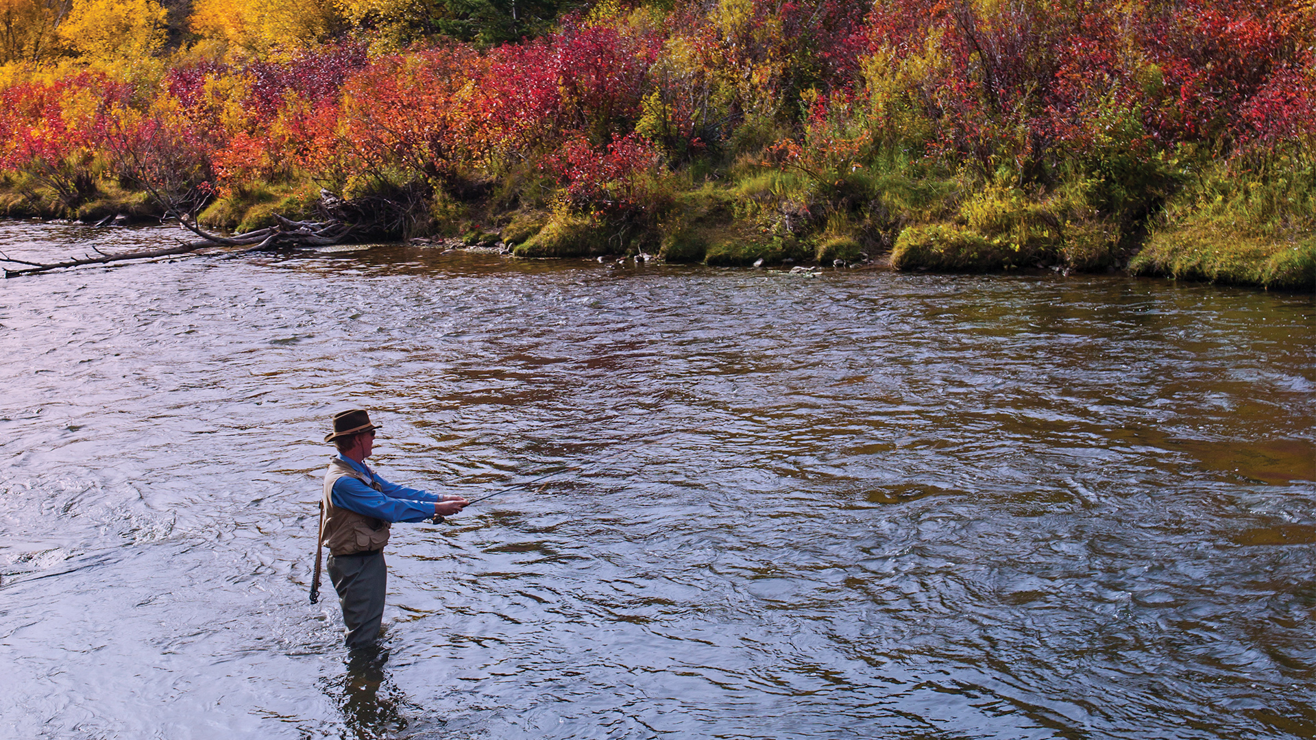 Fly fishing in the Colorado River