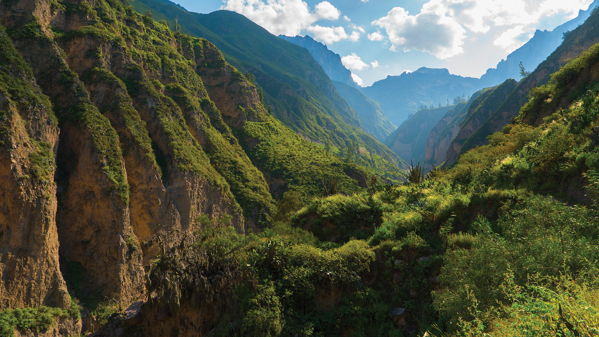 Colca Canyon