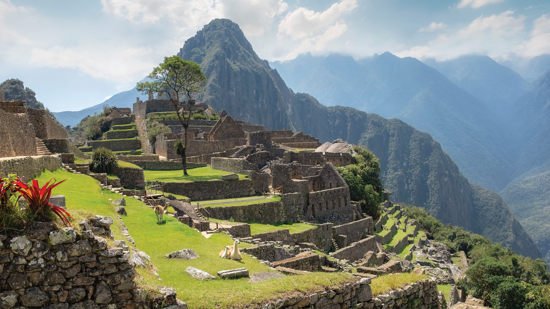 Machu Picchu at sunrise