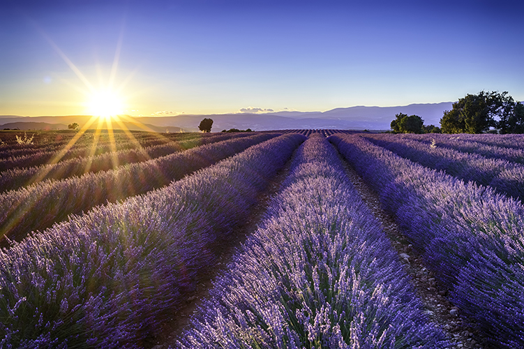 Provence, France