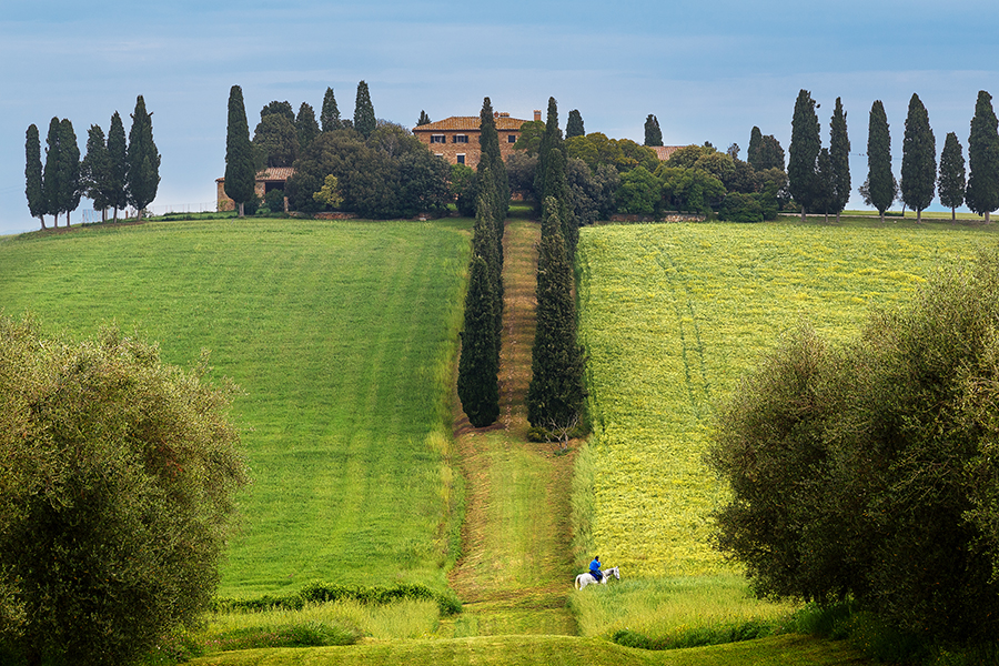 horse tuscany