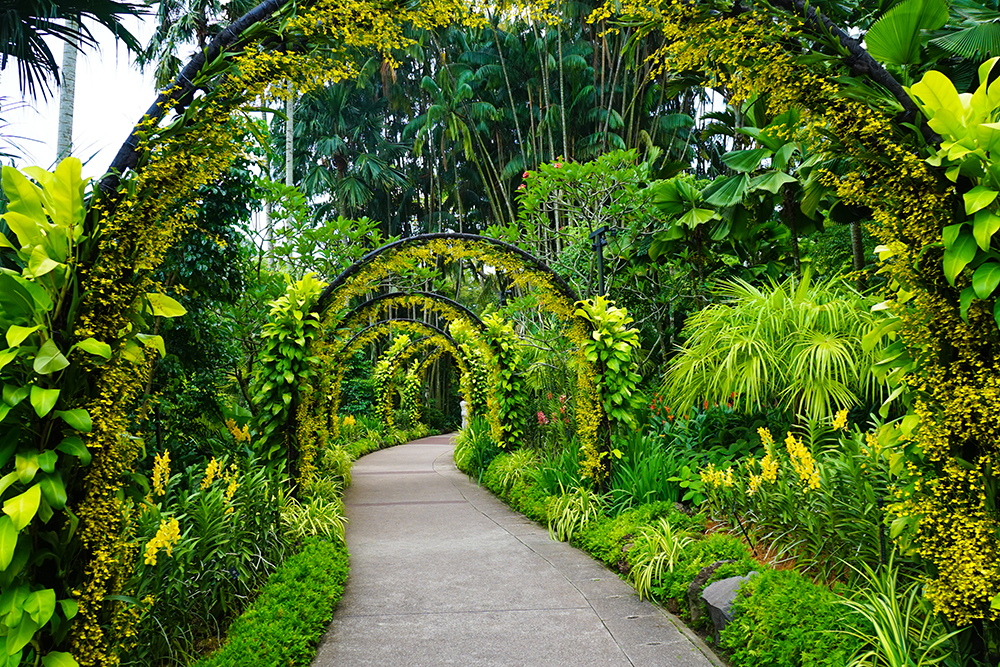 Singapore Orchard