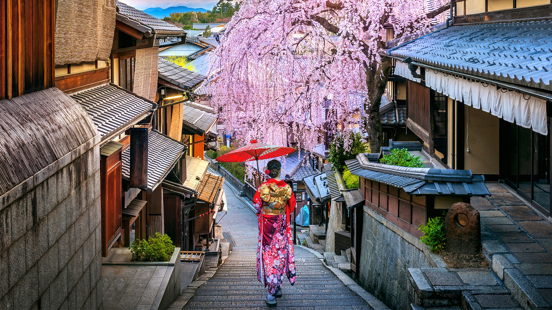 a lone geisha